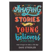 Kid Book Amazing Stories for Young Believers Softcover