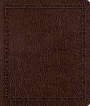 ESV Journaling Bible