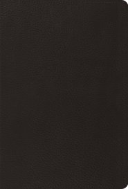 The Psalms, ESV, Top Grain Leather, Black, Ribbon Marker, Large Print, Compact