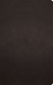 ESV Thinline Bible, Red Letter (Buffalo Leather, Deep Brown)