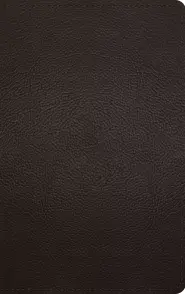 ESV Thinline Bible, Red Letter (Buffalo Leather, Deep Brown)