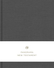 ESV Panorama New Testament (Cloth over Board, Gray)