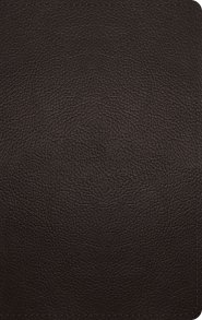 ESV Large Print Personal Size Bible, Red Letter (Buffalo Leather, Deep Brown)