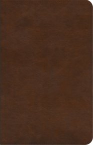 ESV Concise Study Bible, Brown, Imitation Leather, Glossary, Study Notes, Maps, Charts, Illustrations, Articles, Book Introductions