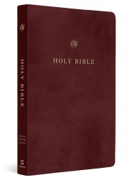 ESV Gift and Award Bible (TruTone, Burgundy)