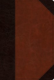 ESV Men's Study Bible (TruTone, Brown/Cordovan, Portfolio Design)