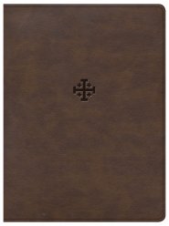 CSB Life Connections Study Bible, Brown LeatherTouch