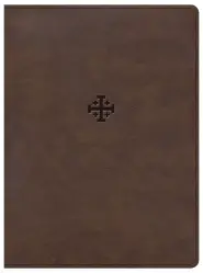 CSB Life Connections Study Bible, Brown LeatherTouch