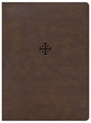 CSB Life Connections Study Bible, Brown LeatherTouch, Indexed