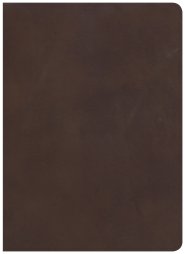 CSB Study Bible, Brown Genuine Leather