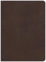 CSB Study Bible, Brown Genuine Leather, Indexed