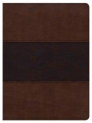 CSB Apologetics Study Bible, Mahogany Leathertouch