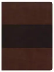 CSB Apologetics Study Bible, Mahogany Leathertouch