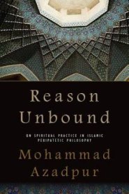 Reason Unbound