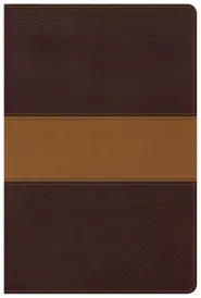 CSB Disciple's Study Bible, Brown/Tan LeatherTouch