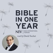 NIV Audio Bible in One Year read by David Suchet