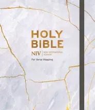 NIV Bible for Verse-Mapping