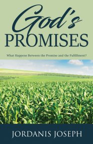 God's Promises:  What Happens Between the Promise and the Fulfillment?