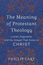 The Meaning of Protestant Theology