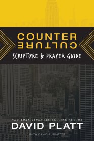 Counter Culture Scripture And Prayer Guide