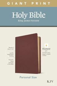 KJV Personal Size Giant Print Bible, Filament Enabled (Genuine Leather, Burgundy, Red Letter)