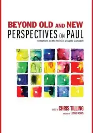 Beyond Old and New Perspectives on Paul