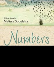 Numbers - Women's Bible Study DVD