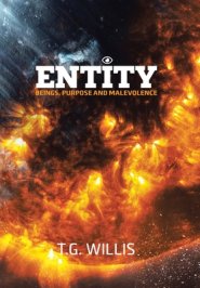 Entity: Beings, Purpose and Malevolence