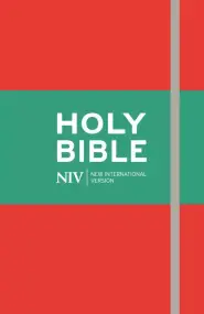 NIV Thinline Red Bible