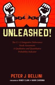 Unleashed: The C1-13 Integrative Deliverance Needs Assessment: A Qualitative and Quantitative Probability Indicator