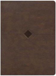 CSB Day-by-Day Chronological Bible, Brown LeatherTouch