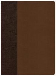 CSB Life Essentials Interactive Study Bible, Brown LeatherTouch