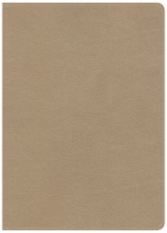 CSB She Reads Truth Bible, Champagne Gold LeatherTouch, Indexed