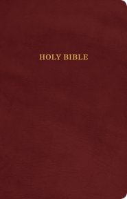 KJV Gift and Award Bible, Burgundy Imitation Leather