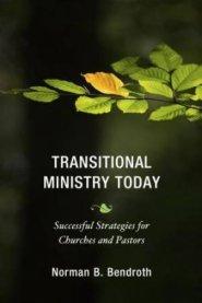 Transitional Ministry Today