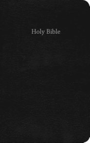 CEB Common English Bible Gift & Award Black Red Letter Edition