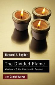 The Divided Flame