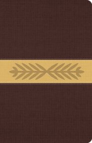 The Message Bible Paraphrase, Bible, Brown, Imitation Leather, One-Column Layout, Timelines, Charts, Ribbon Marker