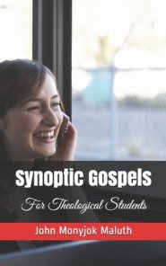 Synoptic Gospels: For Theological Students