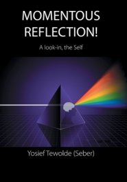 Momentous Reflection!: A Look-In, the Self