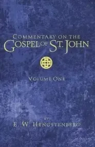 Commentary on the Gospel of St. John, Volume 1