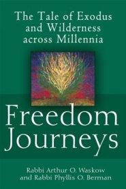 Freedom Journeys: The Tale of Exodus and Wilderness Across Millennia