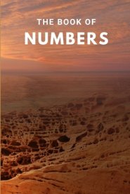 The Book Of Numbers