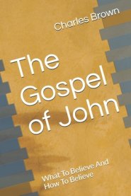 The Gospel of John: What To Believe And How To Believe