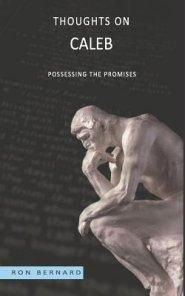 Thoughts on Caleb: Possessing the Promises