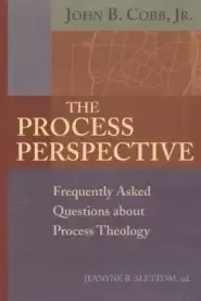 The Process Perspective