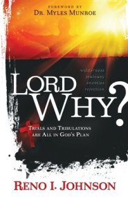 LORD WHY?: Trials And Tribulations  Are All In God's Plan