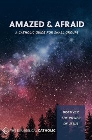 Amazed and Afraid: Discover the Power of Jesus