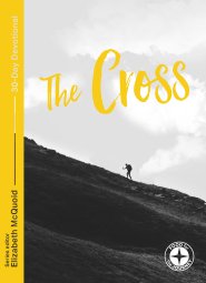 Cross: Food for the Journey  - Themes