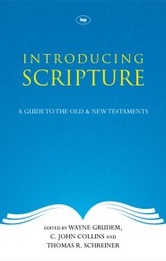 Introducing Scripture (POD)